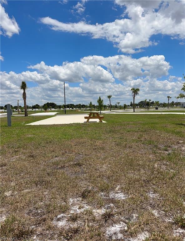PALM BREEZE - Land