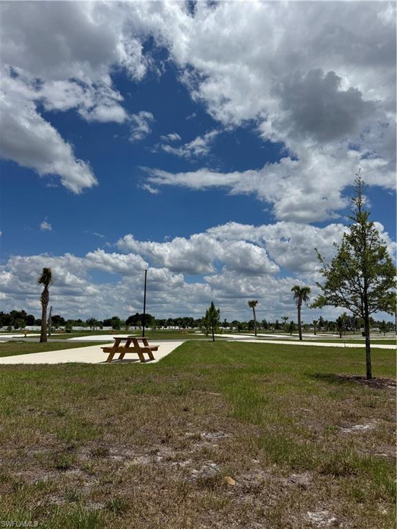 PALM BREEZE - Land