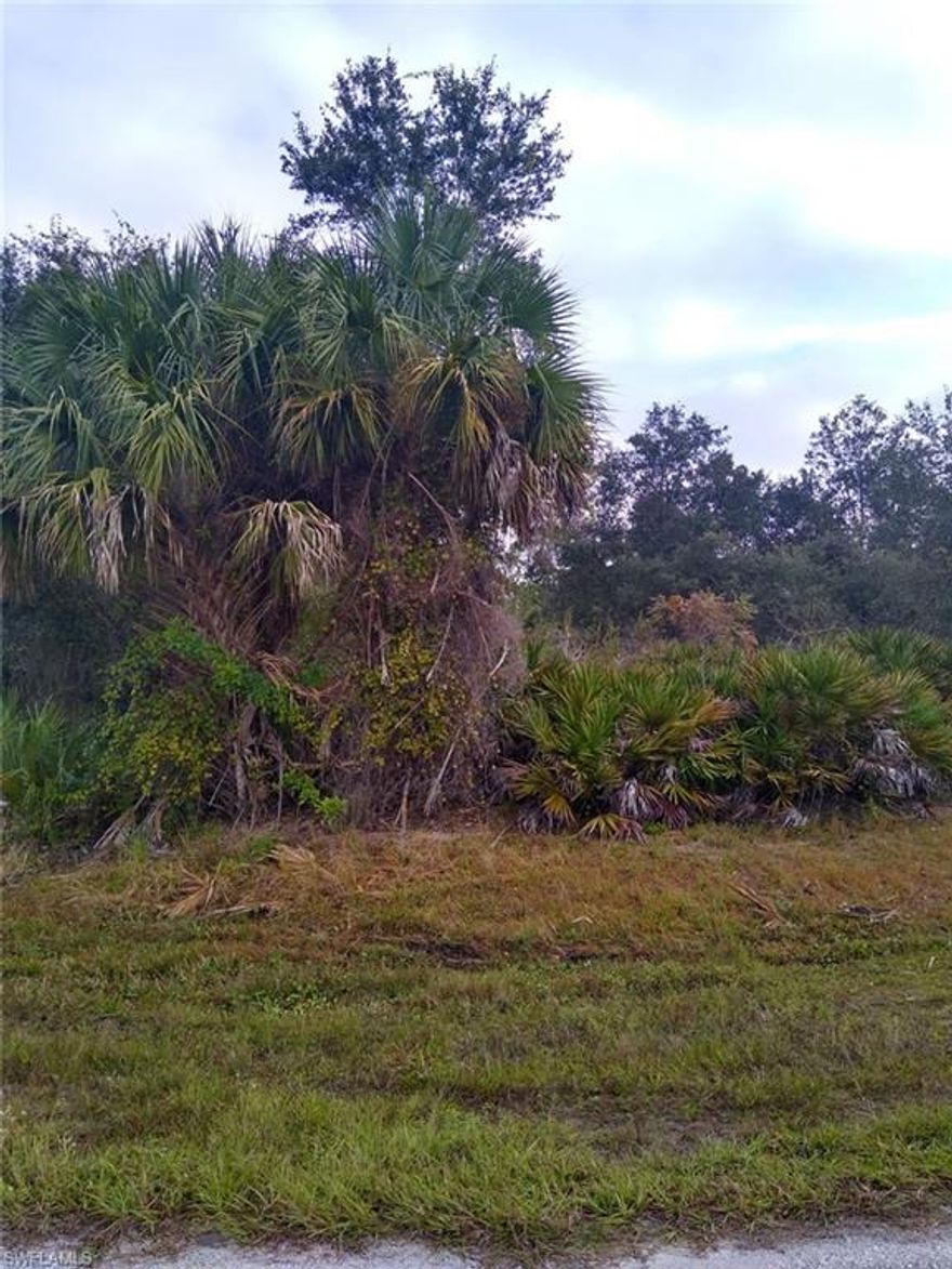 Nice lot in a quiet area.