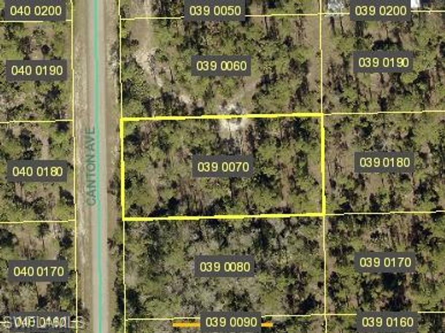 Discover an exceptional opportunity to build your dream retreat on this pristine vacant parcel nestled along a tranquil dead-end street in charming Alva. This peaceful haven offers the perfect canvas for crafting your ideal sanctuary, where serenity meets convenience in delightful harmony.

The generous lot size provides ample space for your architectural vision to flourish, whether you're envisioning a cozy cottage, expansive family compound, or luxurious estate. The quiet cul-de-sac location ensures minimal traffic while maintaining excellent connectivity to major thoroughfares, including State Road 80 and Joel Boulevard, placing urban amenities within comfortable reach.

Nature enthusiasts will appreciate the proximity to Charleston Park, offering recreational opportunities just moments from your future doorstep. The verdant landscape and mature trees surrounding the area create a naturally beautiful setting that promises both privacy and tranquility. Daily conveniences are thoughtfully accessible, with Jack's Market providing grocery essentials and quality educational opportunities available at nearby Donna J. Beasley Technical Academy.

This strategically positioned property combines the best of rural living with metropolitan accessibility. The peaceful ambiance of this dead-end location means your morning coffee will be accompanied by birdsong rather than bustling traffic, while strategic road access ensures you're never truly isolated from civilization's conveniences.

The blank slate before you presents endless possibilities for customization, from landscaping dreams to architectural aspirations. Whether you're seeking a permanent residence, vacation getaway, or investment opportunity, this property offers the flexibility to accommodate diverse objectives while maintaining its inherent value proposition.

Smart buyers recognize the increasing scarcity of well-positioned vacant land in desirable neighborhoods. This offering represents more than mere real estate; it's your chance to create something uniquely yours in a community that values both progress and preservation of natural beauty.