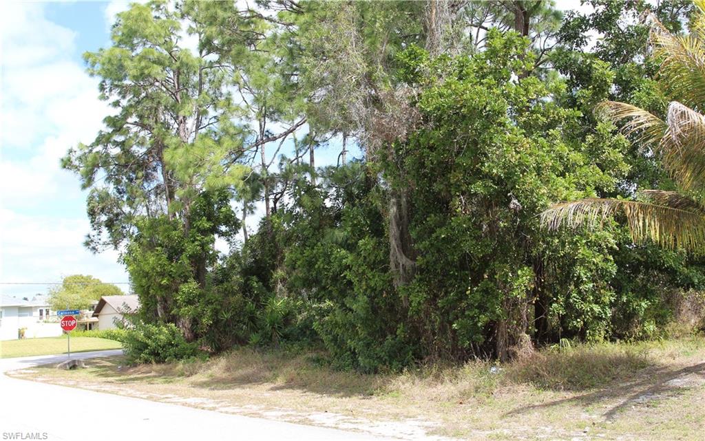 SAN CARLOS PARK - Land