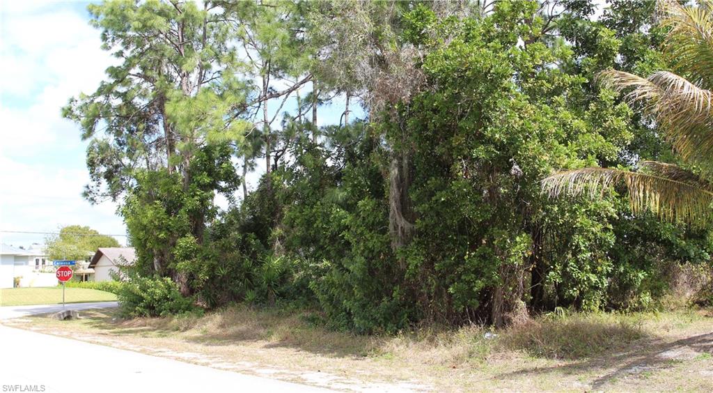 SAN CARLOS PARK - Land