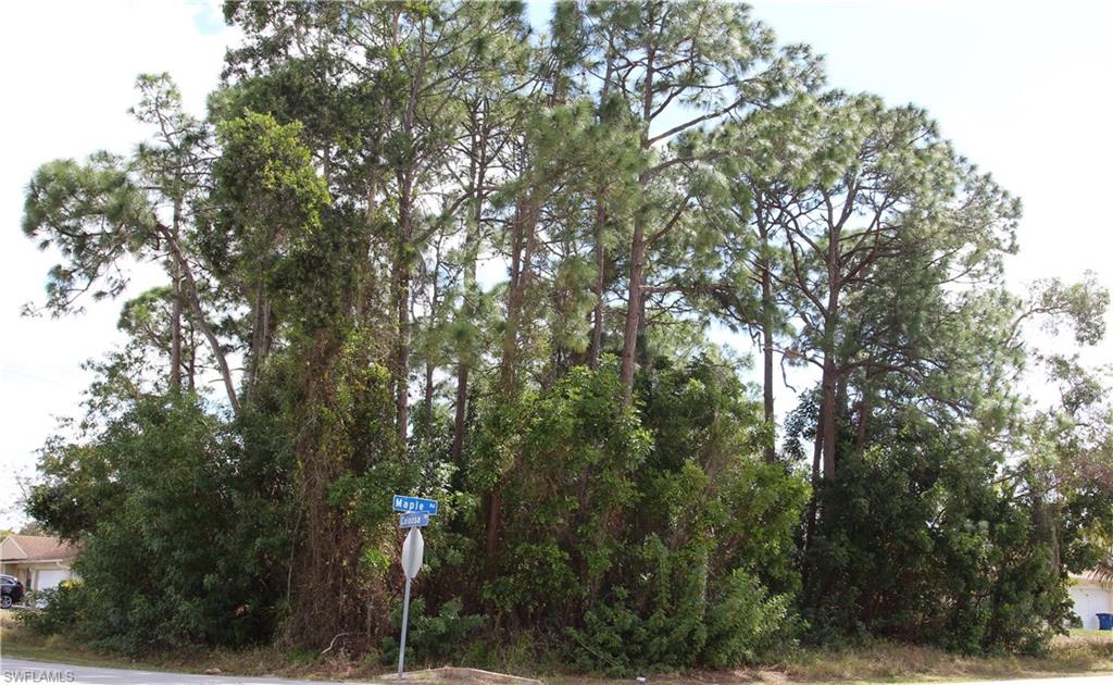 SAN CARLOS PARK - Land