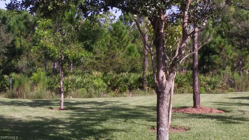 TERRA VISTA - Residential