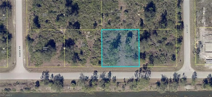 Vacant lot with plenty of room to grow. Now is the perfect opportunity for you to invest in SWFL.  The lot is very peaceful and private, yet just a short drive to great restaurants and beaches. Stake your claim in sunny Southwest Florida today!