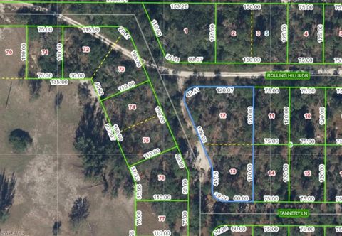 0 Rollings Hills DR LAKE PLACID FL 33852