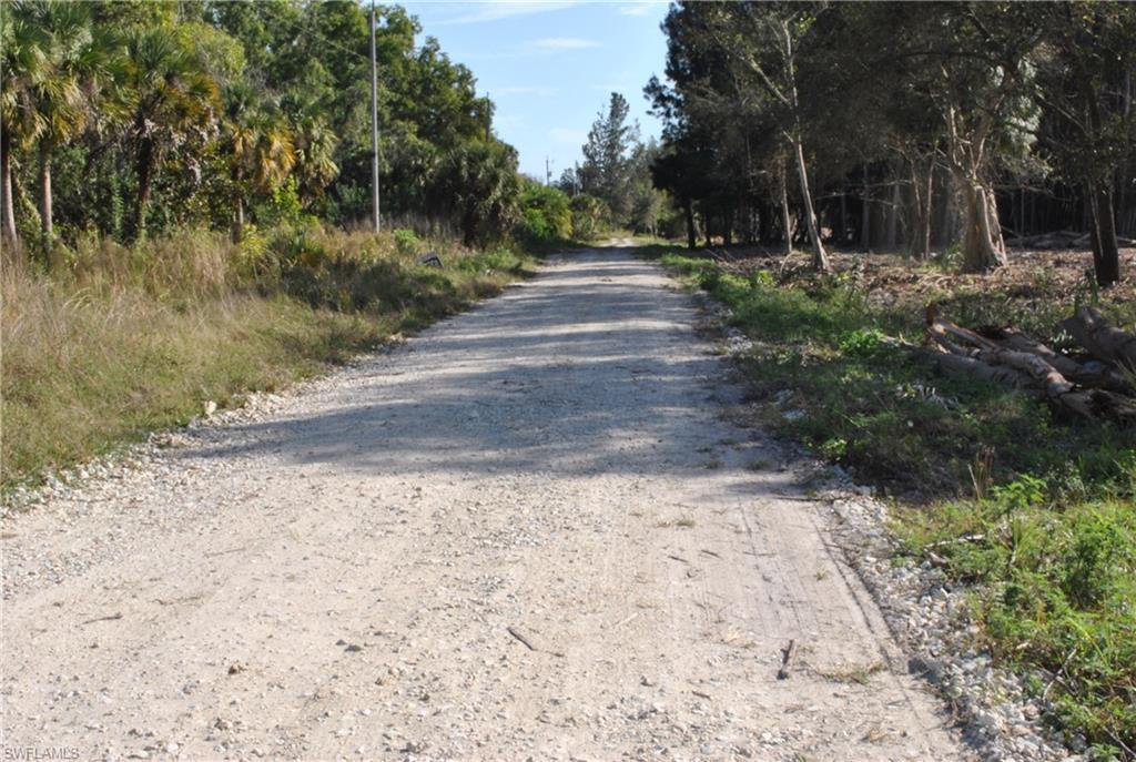 KREAMERS AVOCADO UNREC - Land