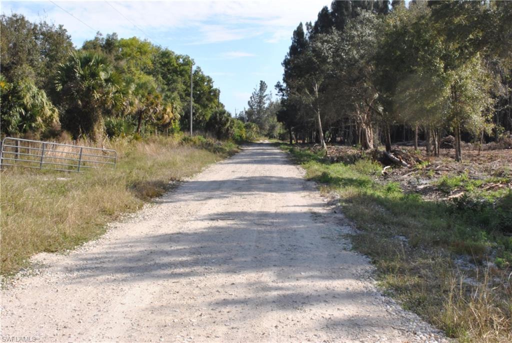 KREAMERS AVOCADO UNREC - Land