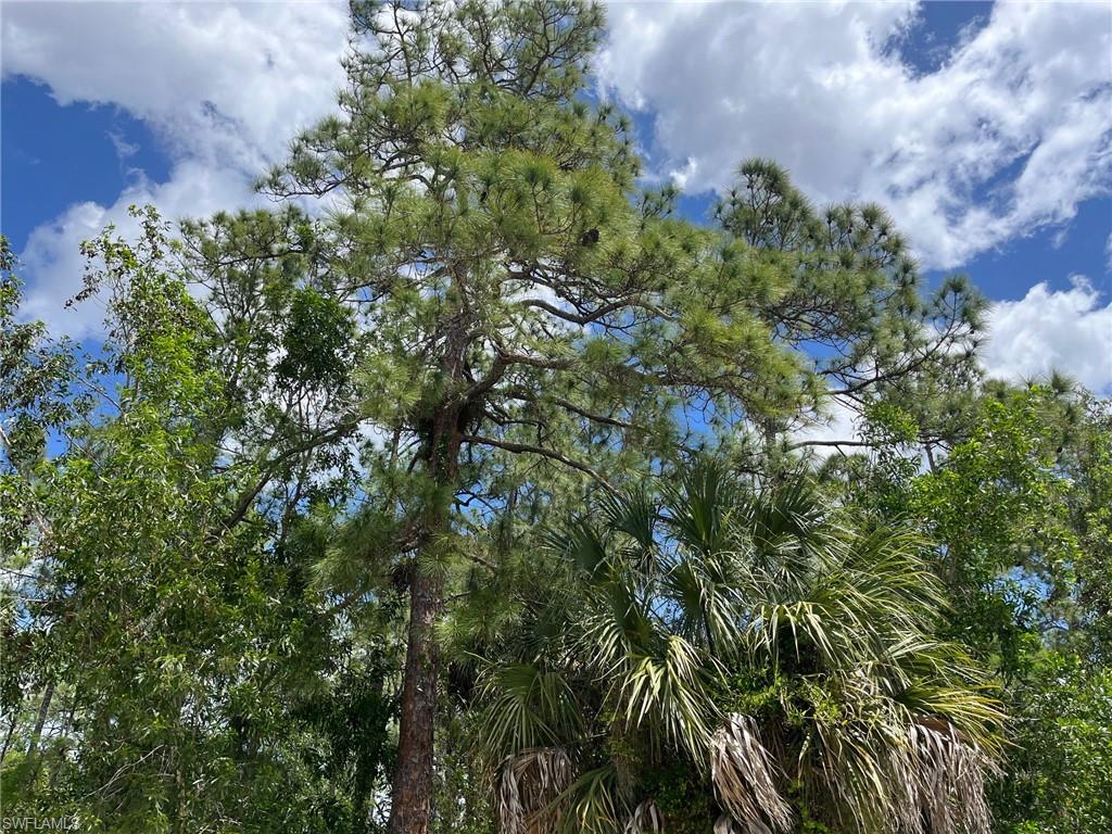 NAPLES FARM SITES - Land