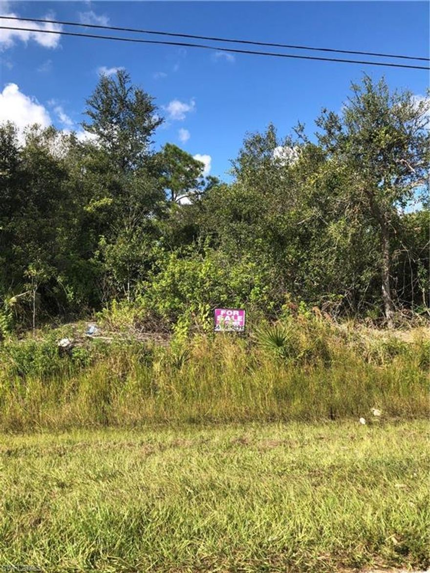 Seize a golden opportunity to own a 1.14-acre slice of paradise in the flourishing community of Golden Gate Estates. This spacious parcel is ideally situated, minutes away from Big Corkscrew Island Regional Park, Founders Square, and Ave Maria. Don't miss the chance to secure a prime piece of Golden Gate Estates and make your mark in this dynamic and growing area.