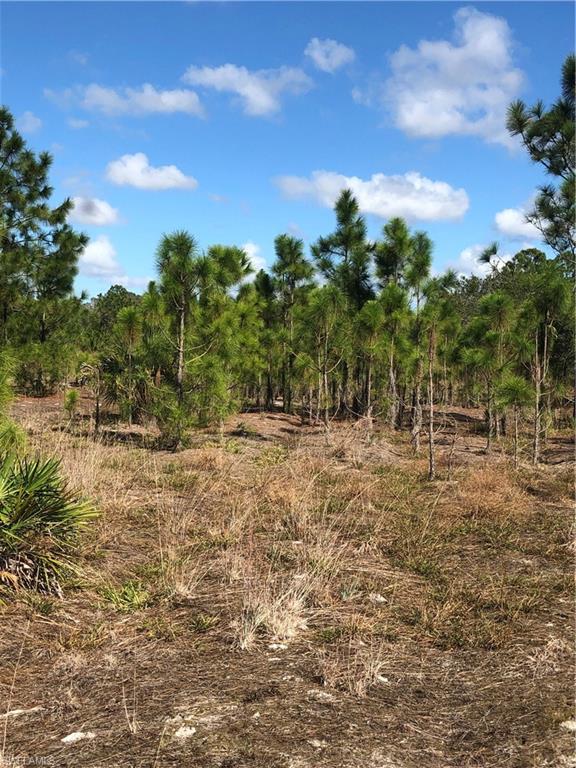 GOLDEN GATE ESTATES - Land