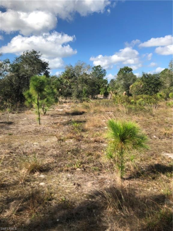 GOLDEN GATE ESTATES - Land