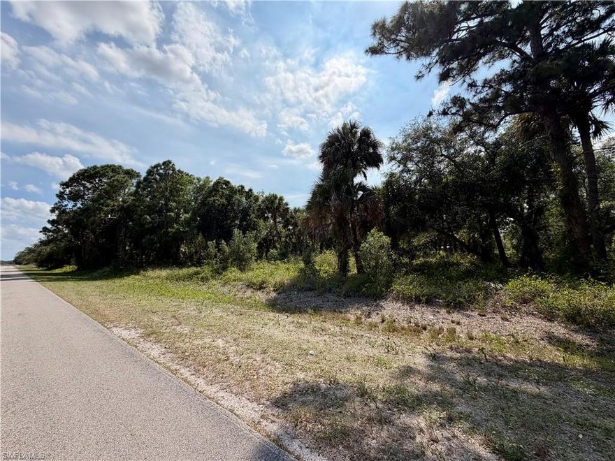 Spacious 1.25-acre property located in a highly desirable area on a paved main road. This property has no wetlands and not located in a flood zone, providing peace of mind for future development. Conveniently situated just minutes from local stores and on the same road as the clubhouse. With no HOA fees/restrictions, you have the freedom to build your dream home or place a mobile home, and animals are welcome!