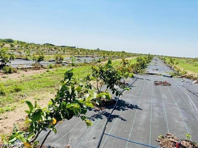 GERBER GROVES SEC 1 - Land