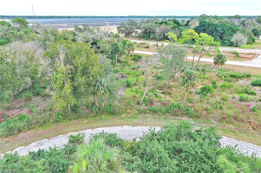 Discover the perfect spot to build your Florida retreat on this 0.27-acre vacant lot in the growing community of LaBelle. Located in a peaceful neighborhood with easy access to SR-80, schools, shops, and local amenities. No HOA and plenty of space for your custom home, investment property, or future plans. Don’t miss this affordable opportunity in a fast-developing area!