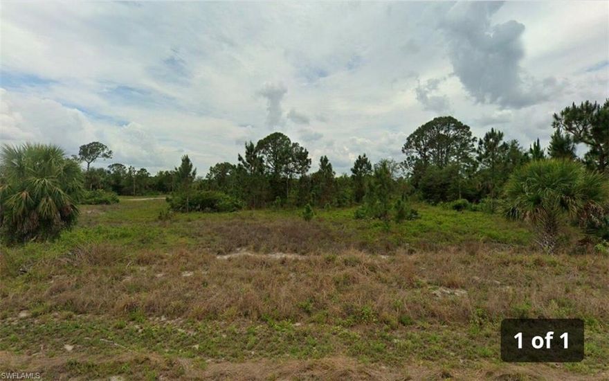 Build your dream home here with total freedom!  This level, mostly cleared lot is ready for construction and features power lines nearby to the parcel.  Enjoy a quiet, country rural setting with NO HOA OR DEED RESTRICTIONS. Quick access to Route 82 makes commuting a breeze.   This is the perfect, hassle-free canvas for your new Florida home.