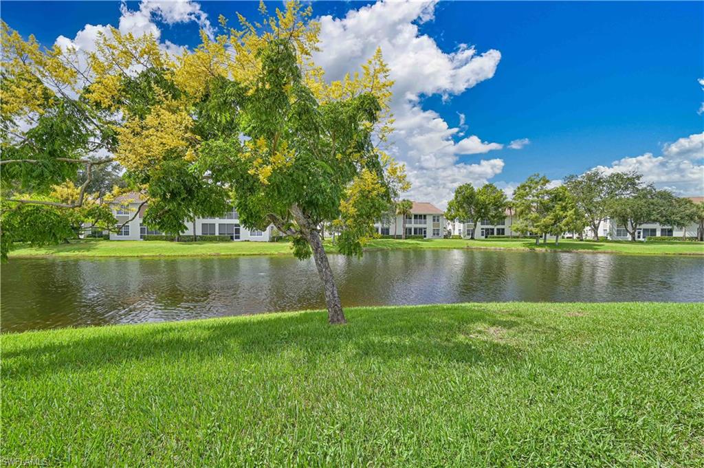 9241 Bramble CT