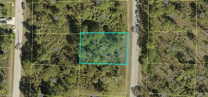 Build your dream home on this .24 acre wooded lot. Easy access to SR82, Daniels Pkwy, Fort Myers Airport, museums, schools, churches, shopping, restaurants, and Fort Myers beaches.  Come and enjoy all that SW Florida has to offer!