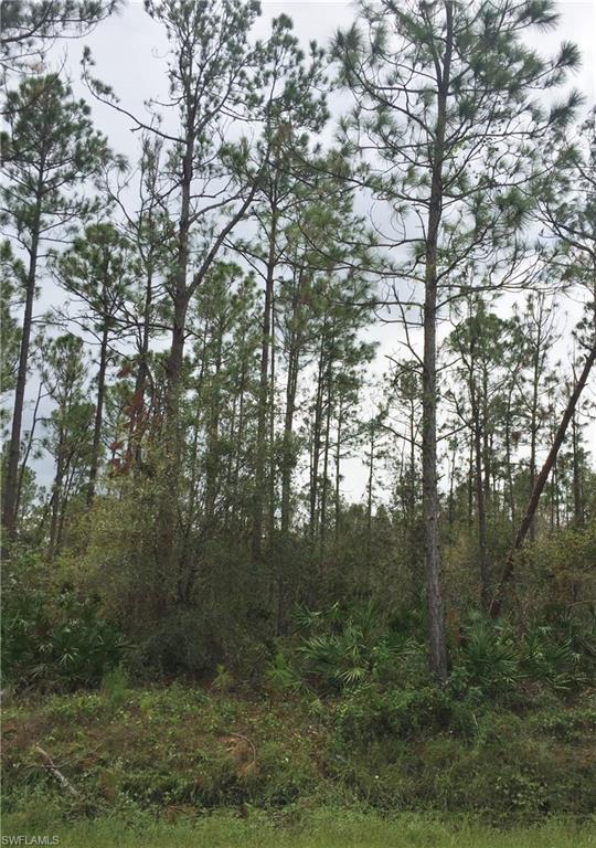 GOLDEN GATE ESTATES - Land