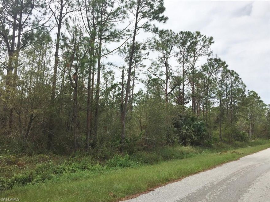 Beautiful property in an up and coming area of The Estates with all new homes in the area and right around the corner from  the following schools:

Estates Elementary School
Corkscrew Middle School
Palmetto Ridge High School

**Please read Confidential Remarks!