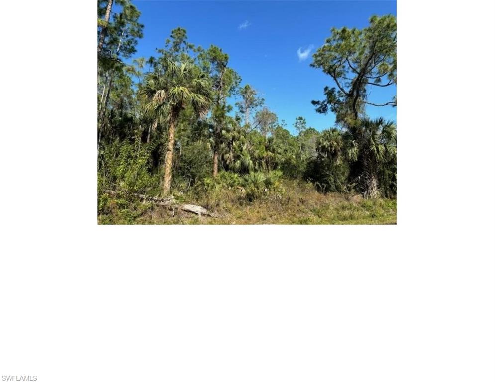 GOLDEN GATE ESTATES - Land