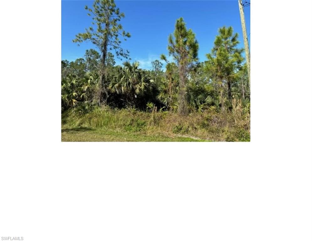 GOLDEN GATE ESTATES - Land