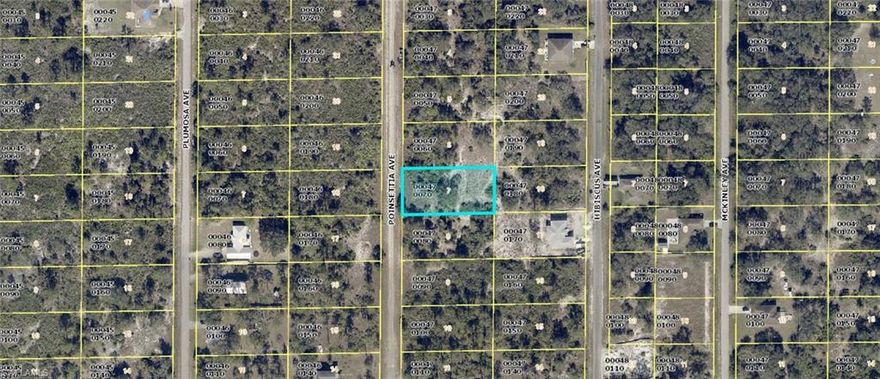 Check out this amazing half-acre home site! It's priced well below market value and situated in a fantastic area of Lehigh Acres. Enjoy an easy commute to town, where you'll find all the amenities Lehigh Acres has to offer, including shopping, schools, and places of worship. Don't miss the opportunity to build your dream home here!"