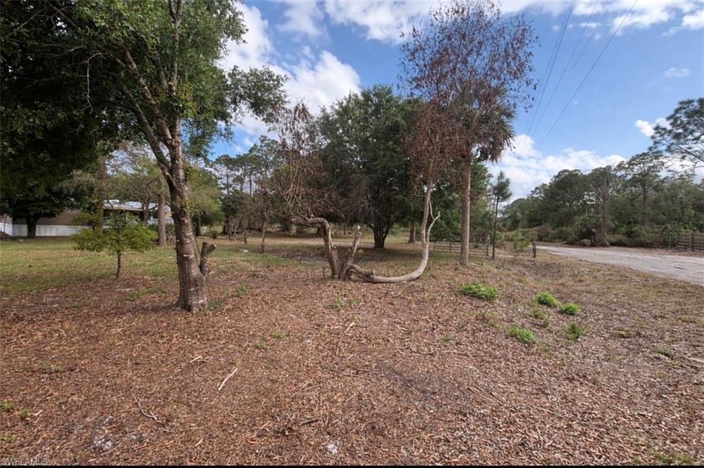 CLEWISTON - Residential