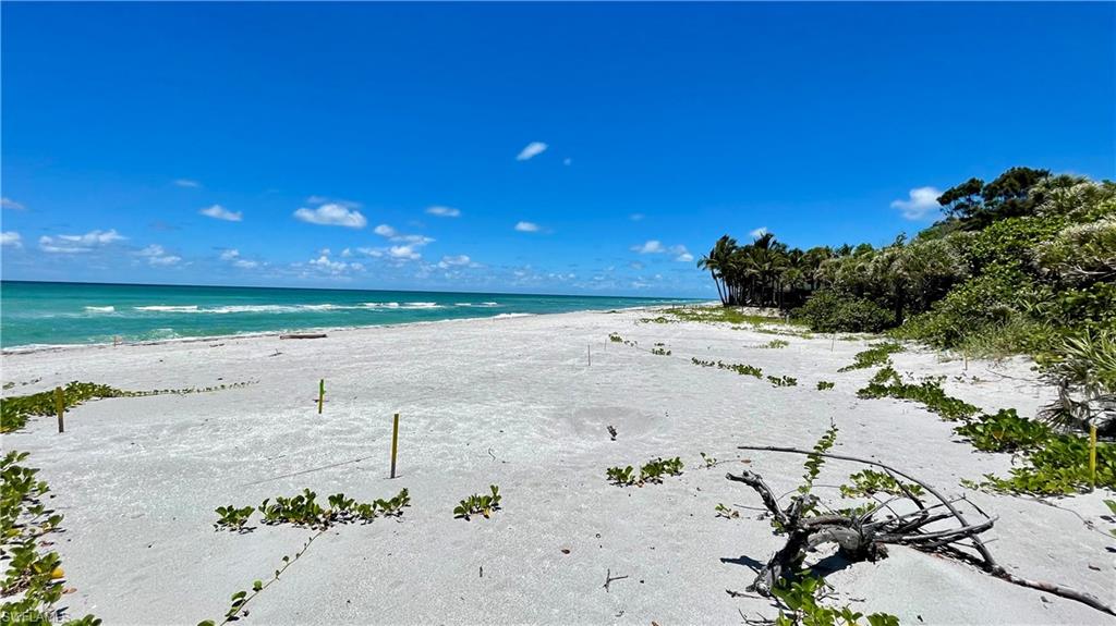 NOT APPLICABLE - Land