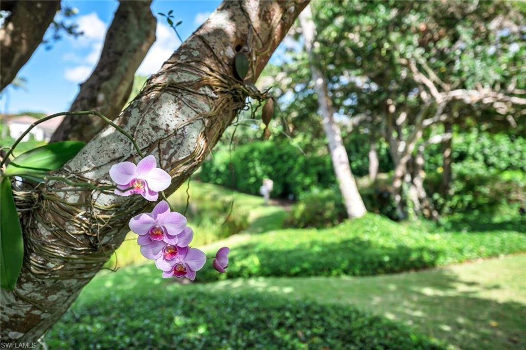 LITTLE HARBOUR - Residential