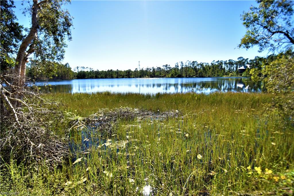 TROPICAL GULF ACRES - Residential