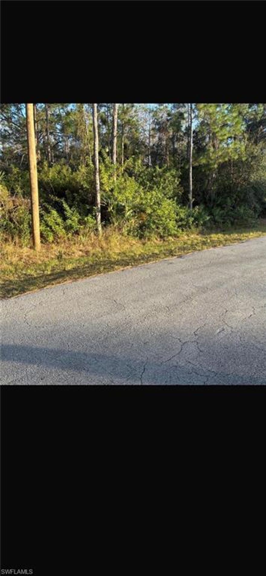 This half acres parcel offers the space and flexibility buyers are looking for whether to build your dream home or invest for the future.Enjoy easy access to Joel Blvd, major roads, shopping dining and schools. This is an excellent opportunity to own a piece of Florida's rapidly developing market.