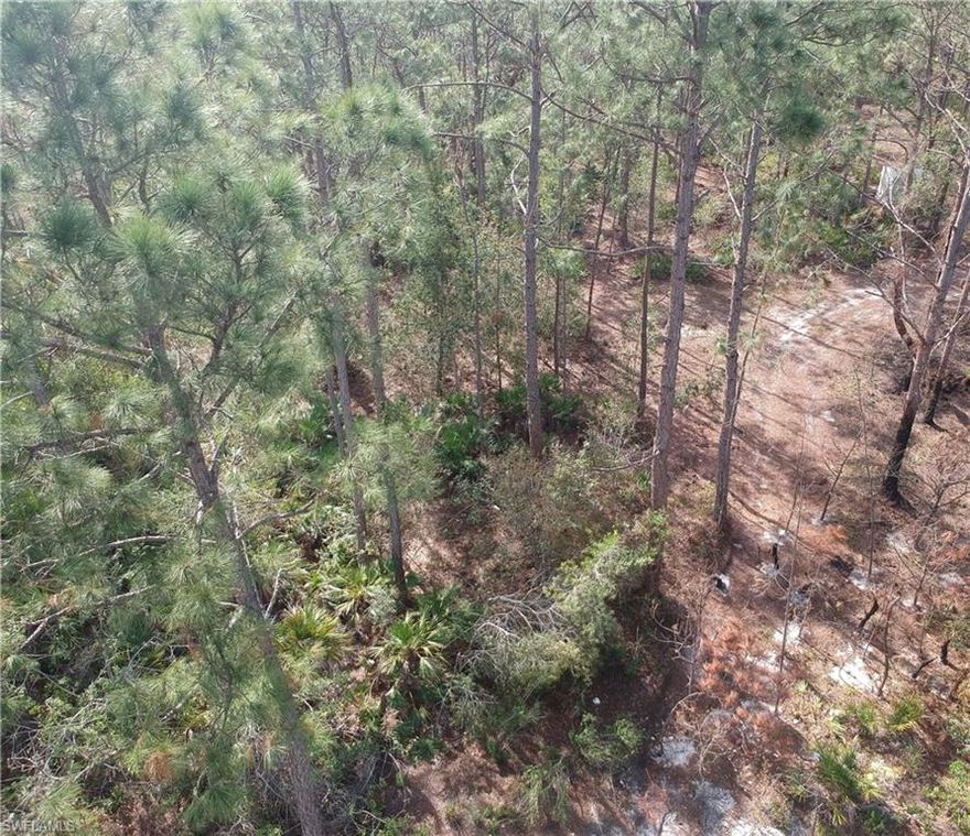 Great lot 2.73 Acres 86% Uplands = 2.35 acres; No wetland permit required, sufficient uplands to build per Environmental Report dated 6/16 Quiet country living, Come build you custom home. Near Immokalee road and Everglades Blvd. Close to restaurants and shopping. Seminole Casino 15 minutes away.  Many New homes in the area.