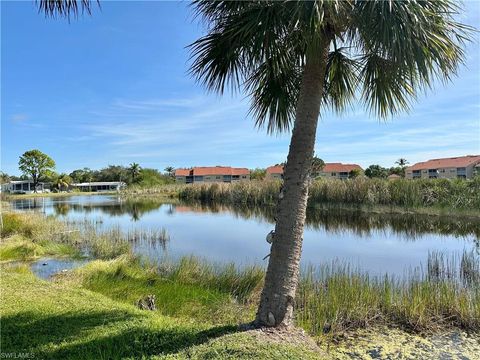 A home in BONITA SPRINGS