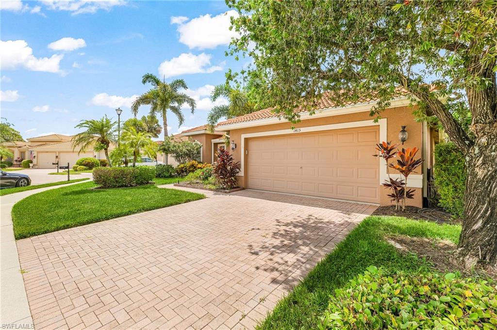 1415 Princess Sabal PT