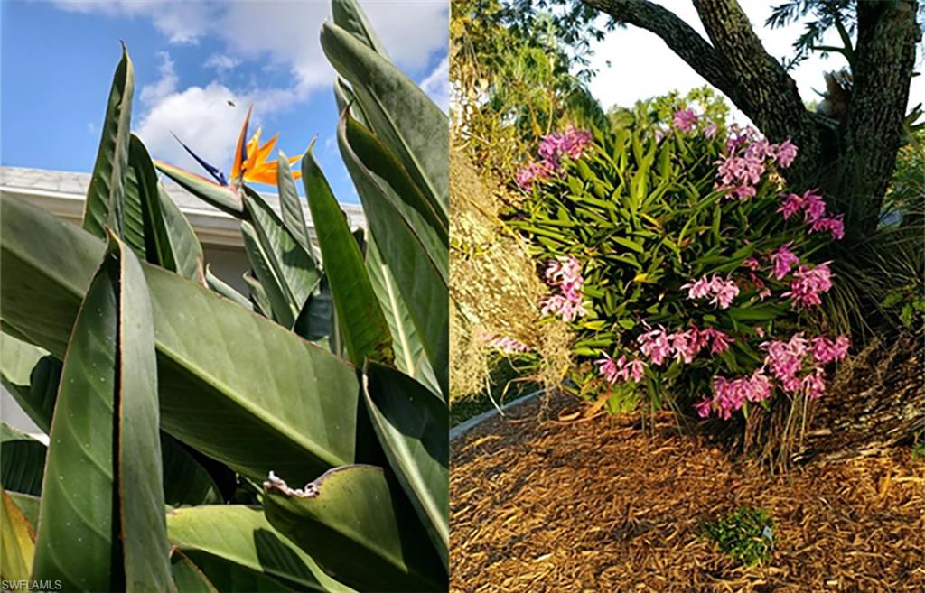 SOUTH POINTE SOUTH - Residential