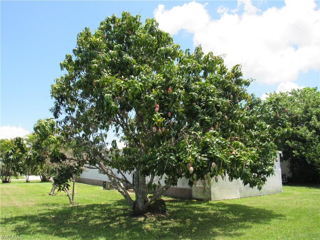 SEPTEMBER ESTATES AMENDED - Residential