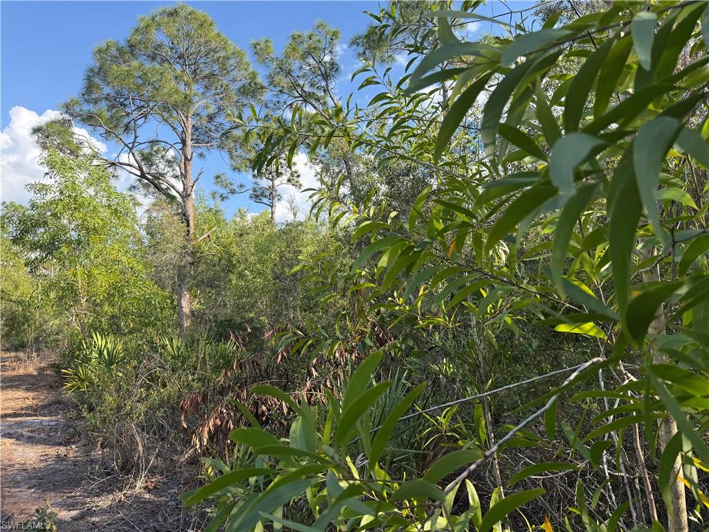 SUNDIET VILLAGE - Land