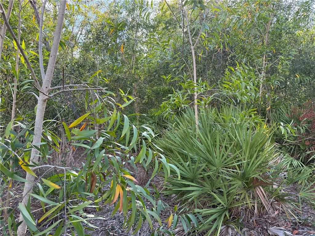 SUNDIET VILLAGE - Land