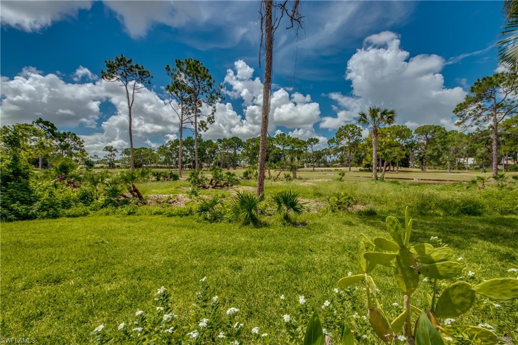 PALMETTO PINES COUNTRY CLUB - Residential