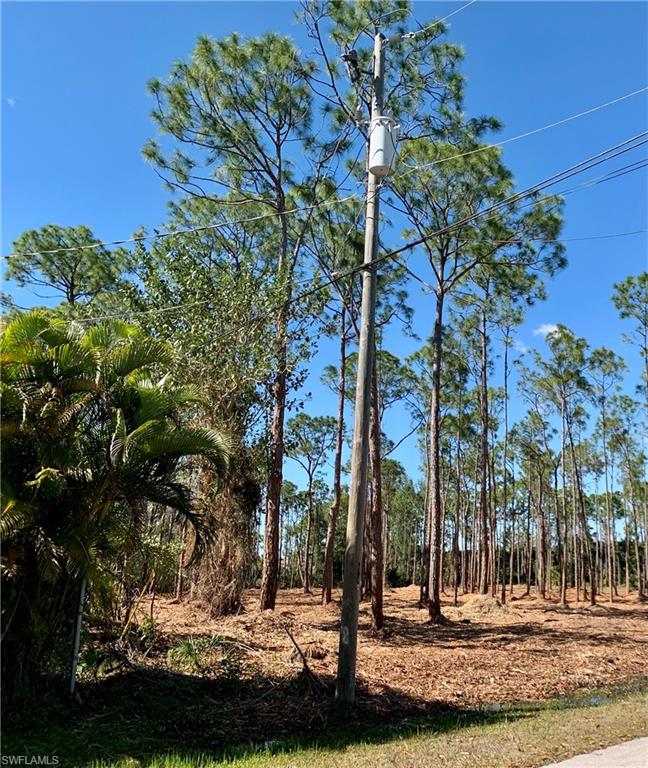 SAN CARLOS ESTATES - Land