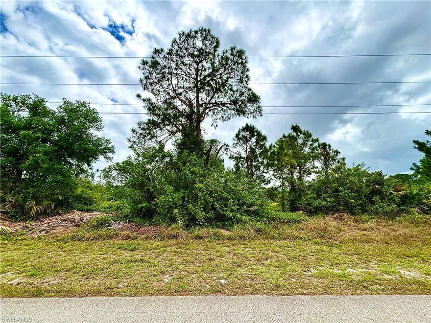 GREAT LOCATION oversized & backed to canal on a paved road with utilities available. Great Opportunity for SIDE BY SIDE properties just minutes to major amenities and a quick commute to Fort Myers. The ADJACENT corner Lot 519 Osage ave s is also for sale! Come build your DREAM HOME or INVEST today!