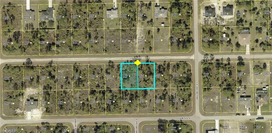 Double the potential, double the opportunity! These two adjacent lots at 1222 and 1224 Count St. E present an incredible chance for the savvy Buyer. Build your dream home on one and keep the other for investment or additional space. With these adjacent lots, your options are limitless - no HOA fees, zoned for single family residential and not in a flood zone so no flood insurance will be needed. Lehigh Acre has the highest elevation of any area in Lee County. Seize this unique opportunity today!