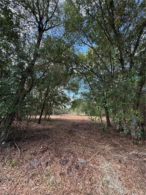 MONTURA RANCH ESTATES - Land