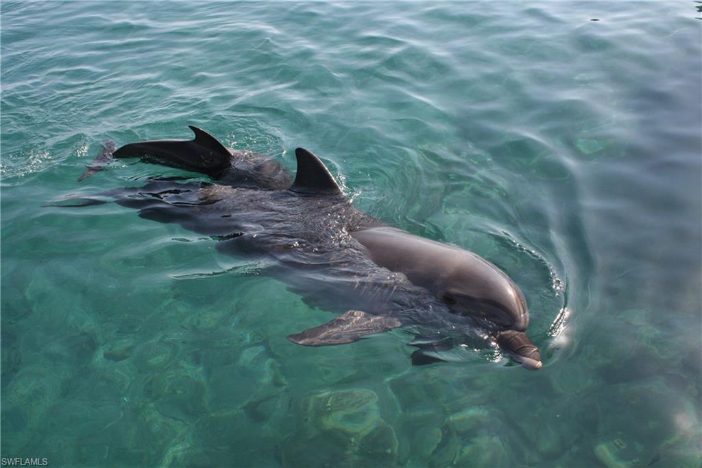 GULF VIEW CONDO - Residential