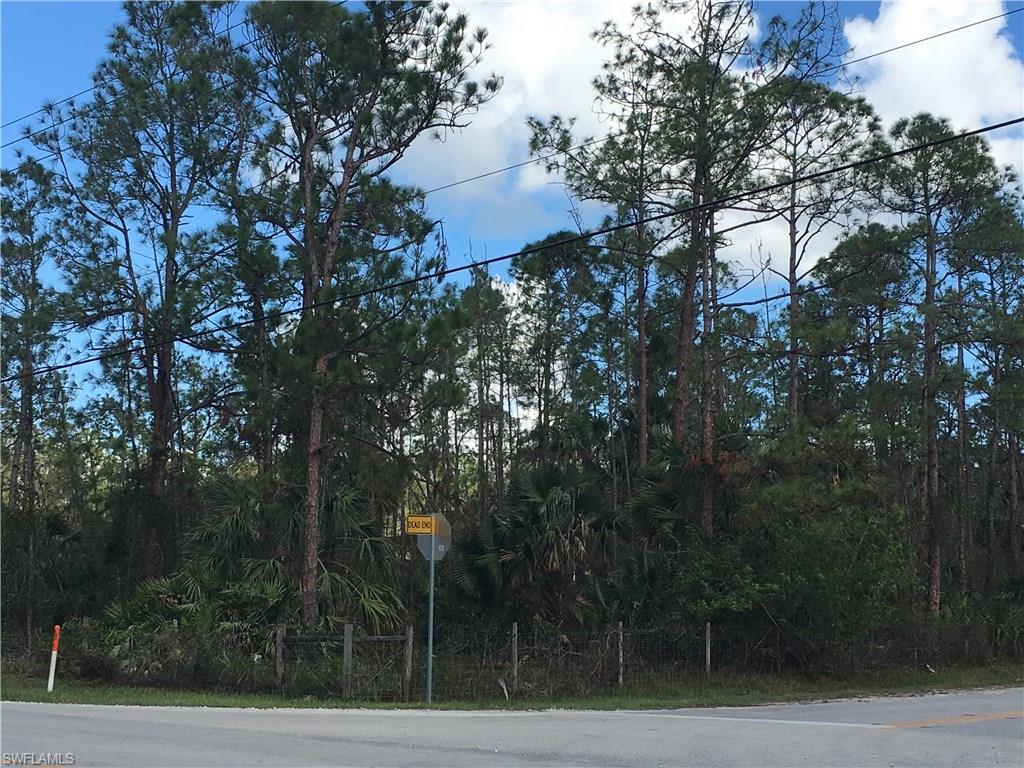 GOLDEN GATE ESTATES - Land