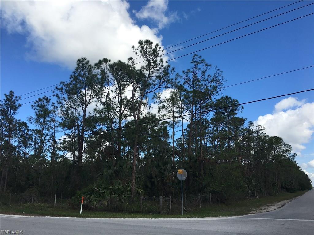 GOLDEN GATE ESTATES - Land