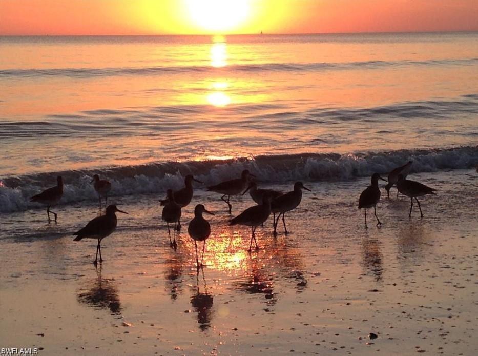 ESTERO BEACH AND TENNIS CLUB - Residential