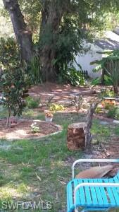 ALABAMA GROVE TERRACE - Residential