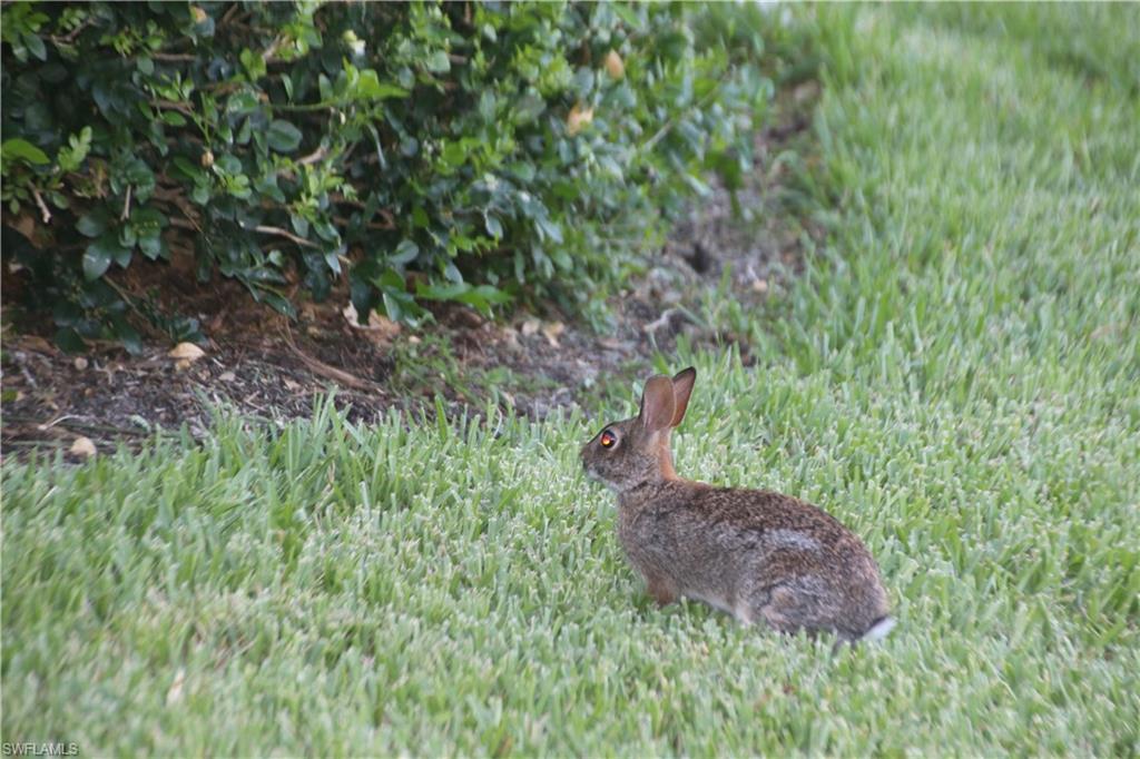 VILLAGE WALK - Residential
